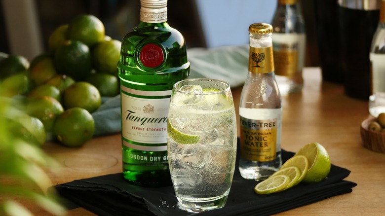 gin and tonic cocktail on bar with bottles