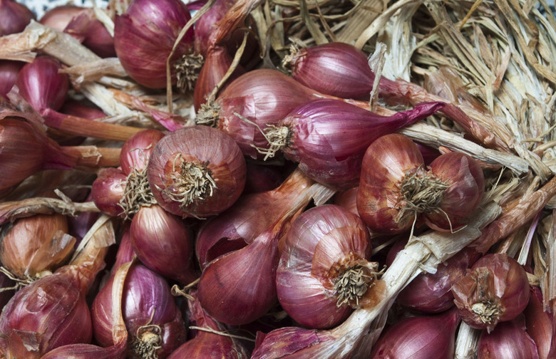 Shallots