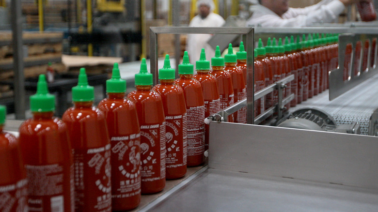 Production line of Huy Fong sriracha