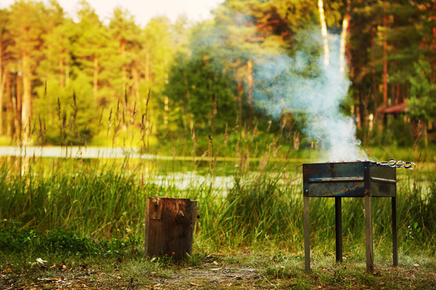 Red Meat Can Cause Anaphylaxis After a Tick Bite