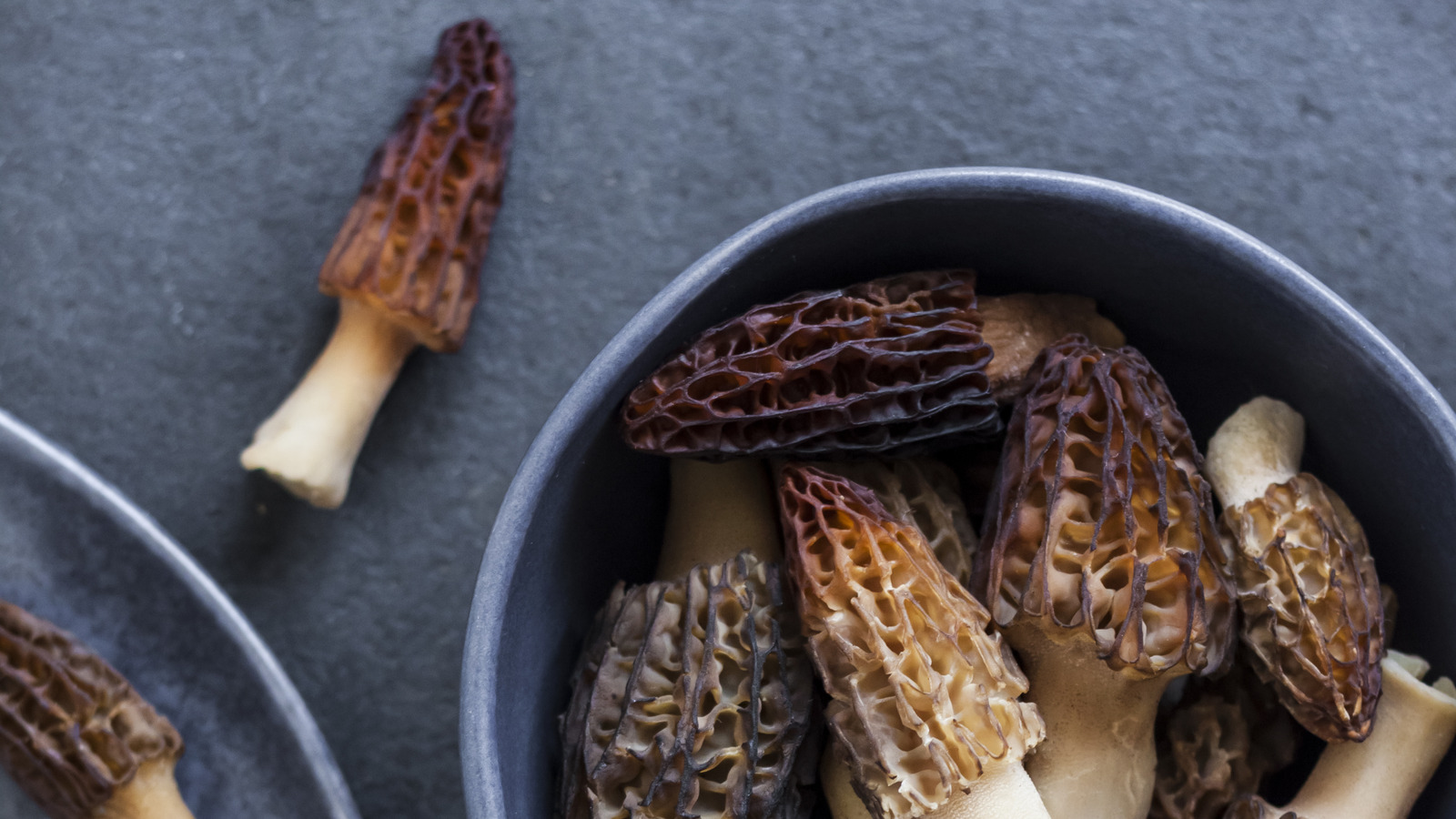 Why Morel Mushrooms Are So Incredibly Expensive