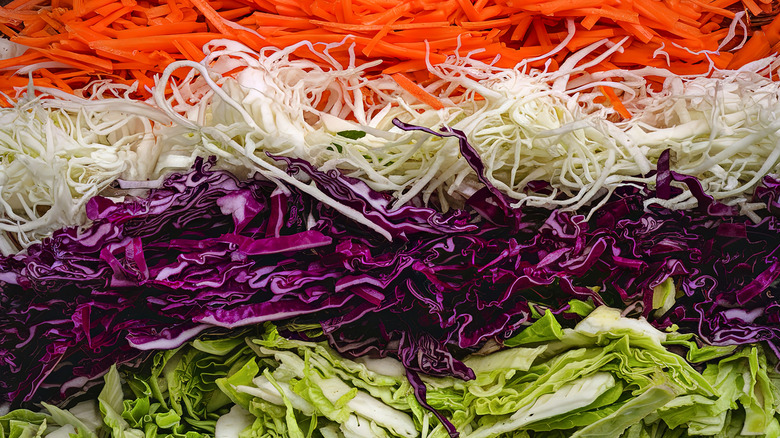 Rows of shredded vegetables