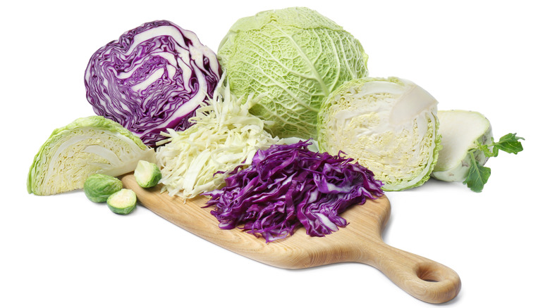 Different types of whole and sliced cabbage