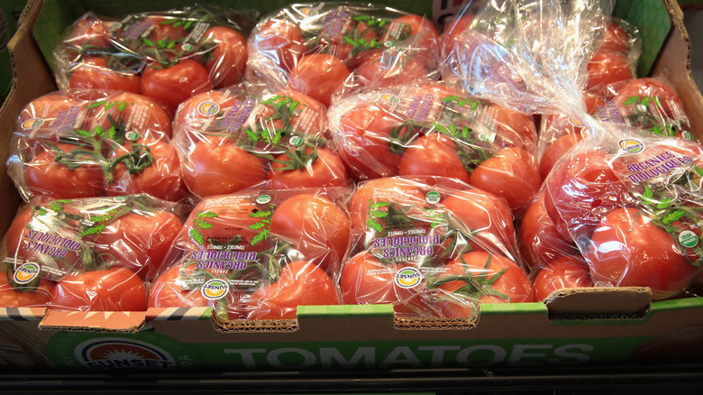 Plastic-wrapped tomatoes on the vine for sale at Aldi