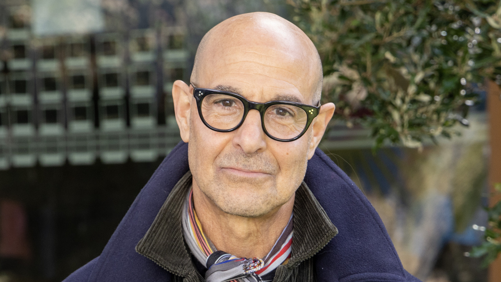 Why Stanley Tucci Will Never Make A Passionfruit Dessert - Vimarsana News