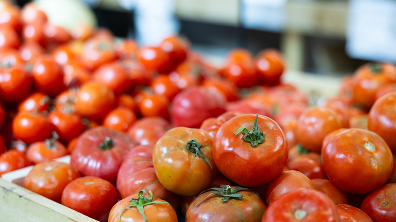 Tomatoes on display at a grocery store