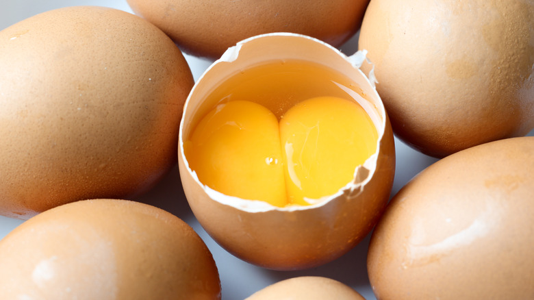 two yolks sit inside a cracked eggshell