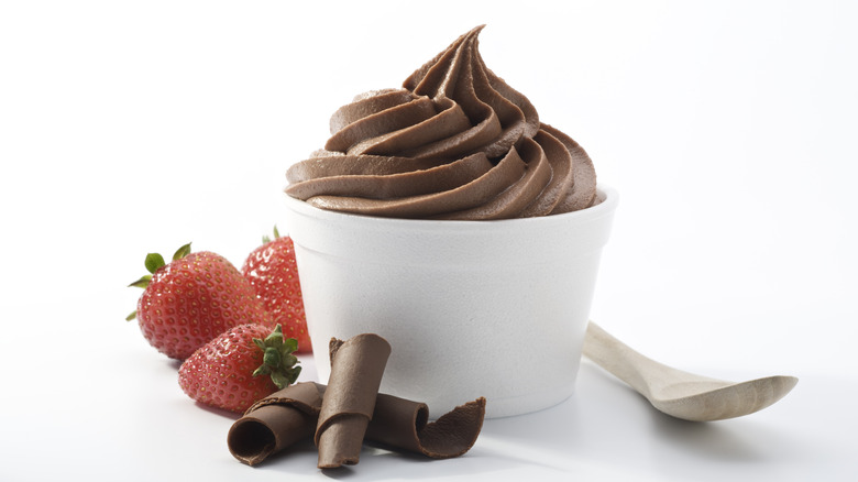 Chocolate soft serve ice cream with fruit
