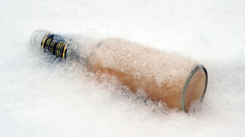 Beer bottle frozen in snow