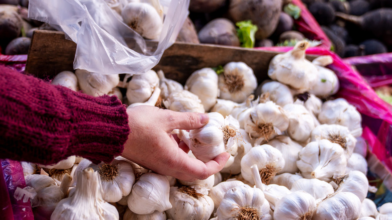 Woman shopping for fresh garlic at the farmers' market