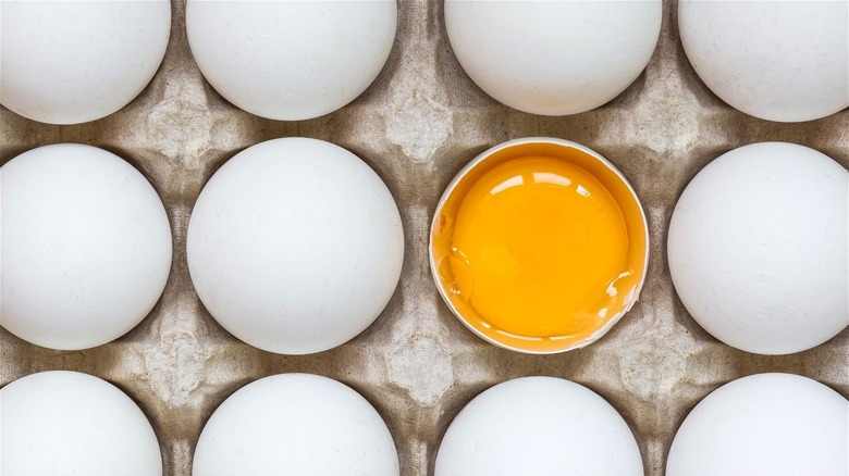 White eggs and one yellow yolk