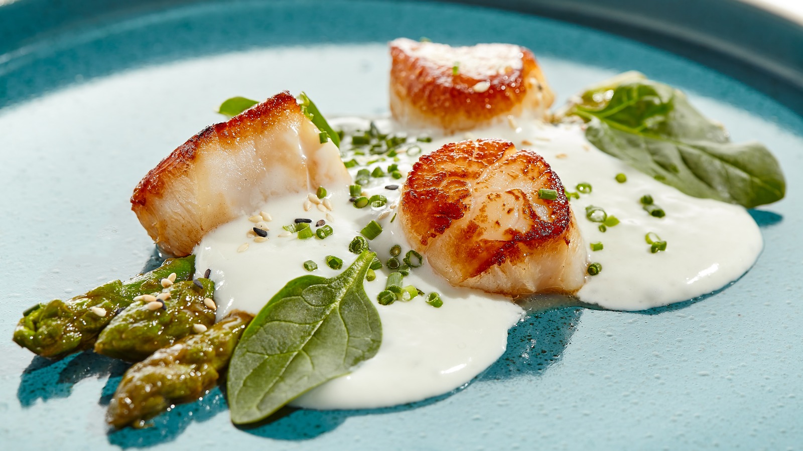 Why You Should Only Buy Female Scallops Whenever Possible