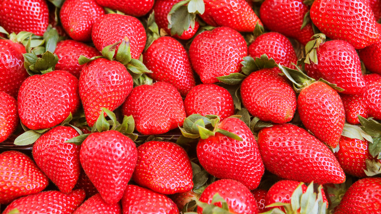 Harvested strawberries