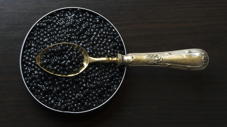 Tin of caviar with spoon