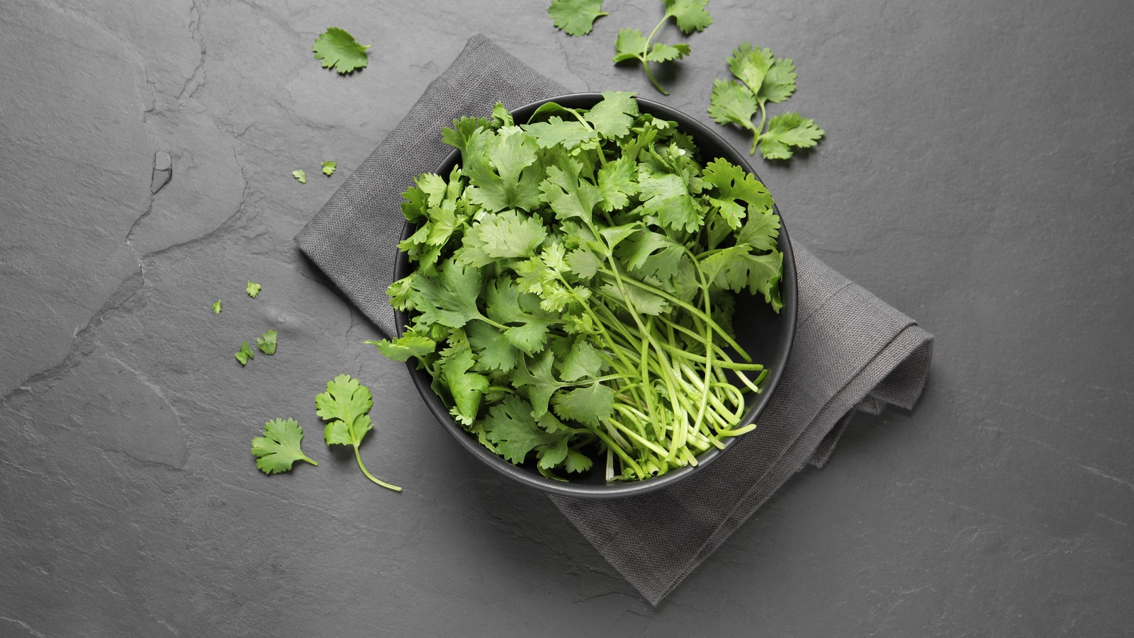 Why You Should Think Twice Before Tossing Cilantro Stems