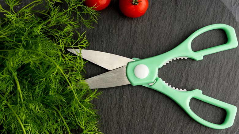 kitchen shears and dill