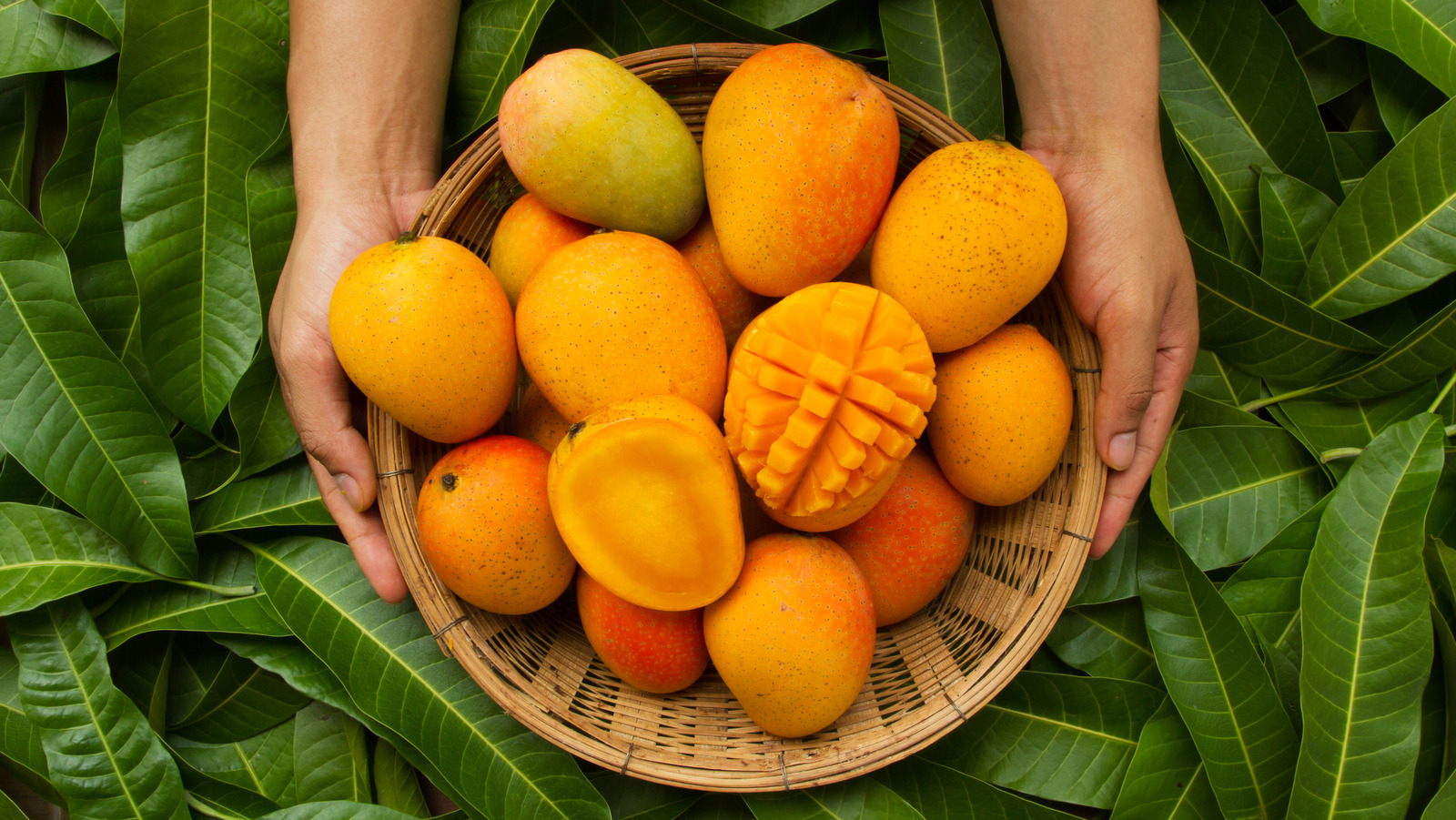 Why You Shouldn't Rely On Color To Tell If A Mango Is Ripe