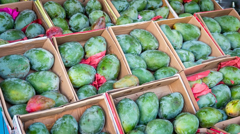 Green mangoes in cardboard boxes.