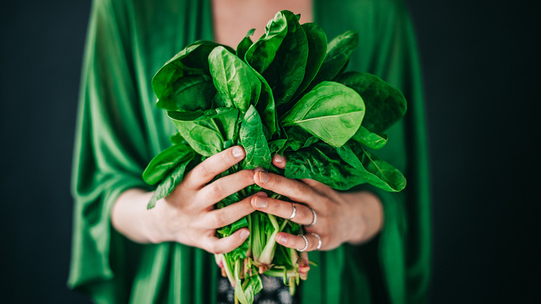 Hands holding a spinach bunch