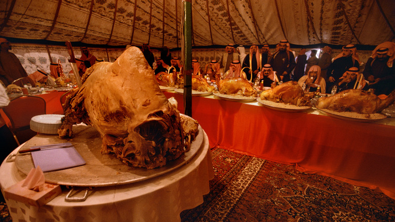 Presented camel in Saudi Arabia