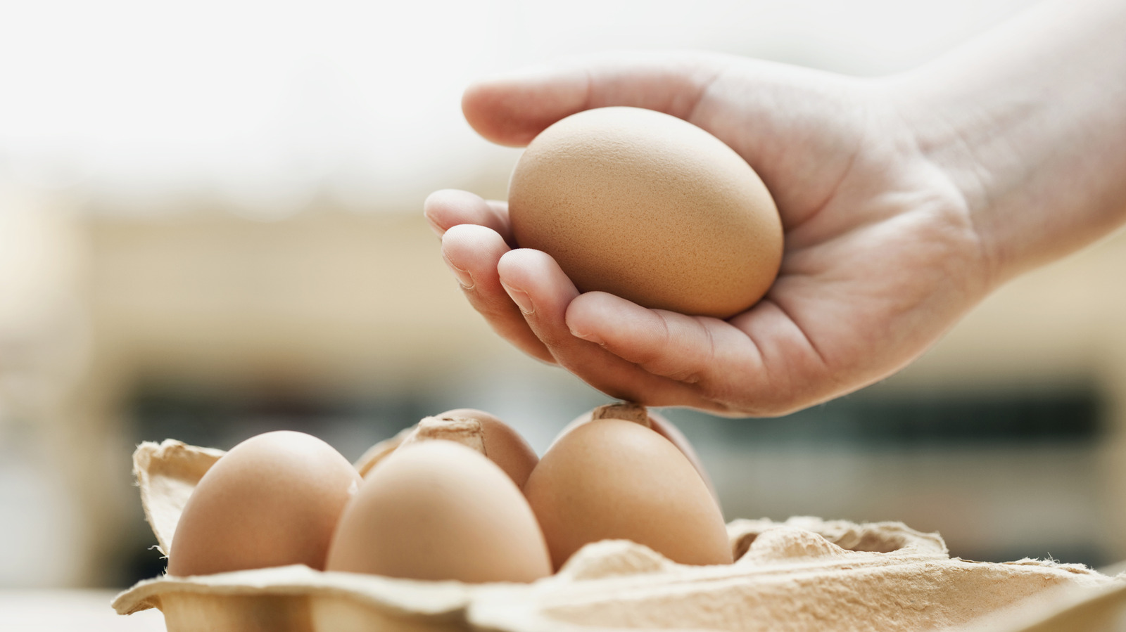 Will Frozen Eggs Go Back To Normal Once Thawed?