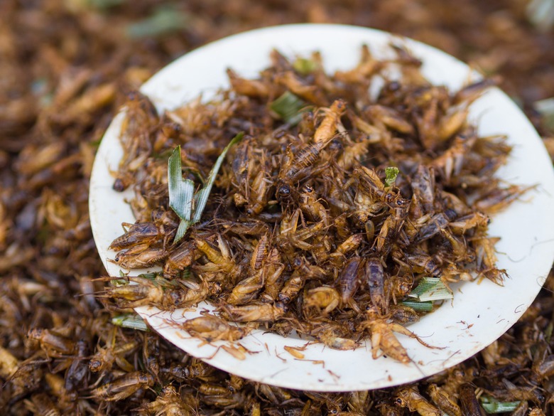Anyone wanna try an insect-topped hot dog? Frankly, we can hear crickets.