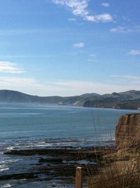 World of Pinot Noir logo