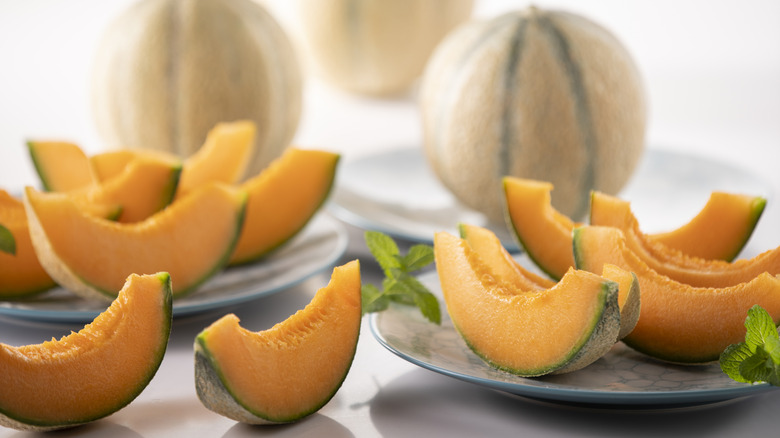 Slices of cantaloupe on plates with sprigs of herbs and blurred whole cantaloupe in the background