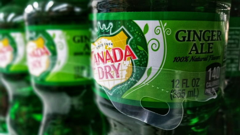 canada dry