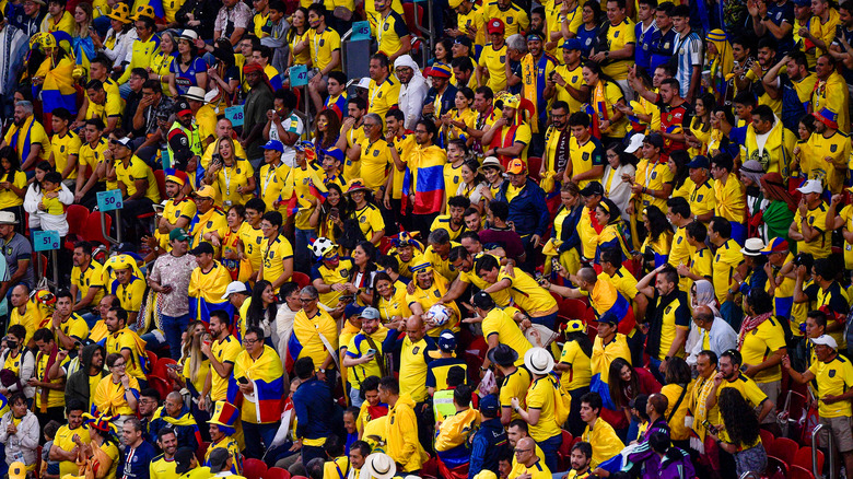 Ecaudor fans cheer World Cup match