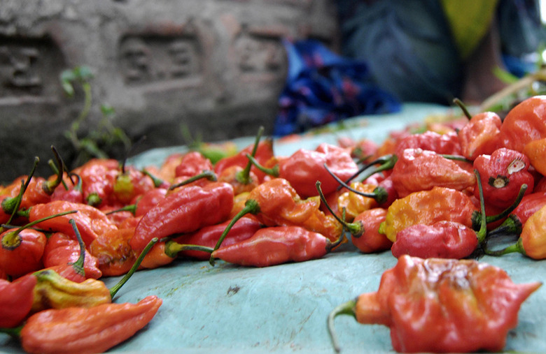 Most Bhut Jolokia chili peppers eaten in 1 minute