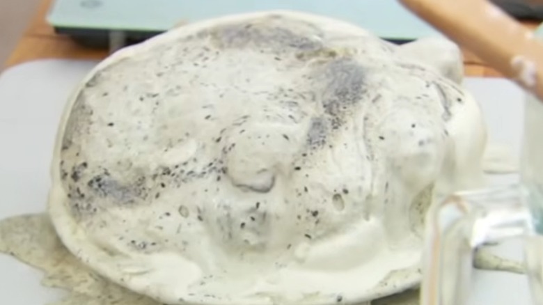 A plate of mostly melted ice cream that appears to be cookies and cream-flavored