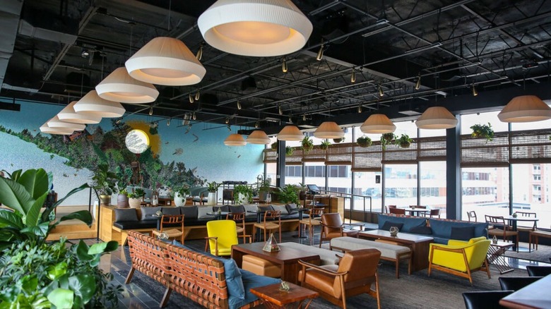 Wild Days rooftop bar