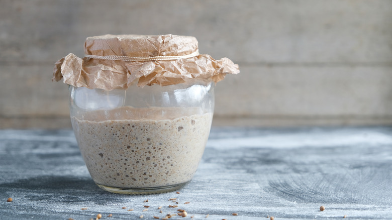 Sourdough starter in glass jar