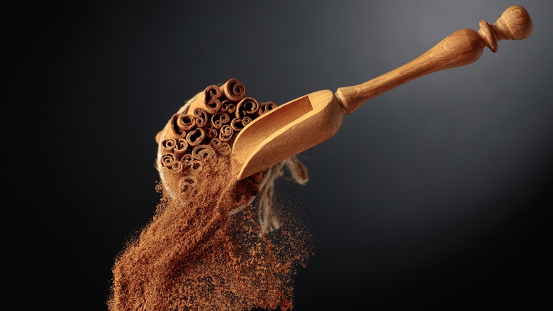 Wooden spoon and cinnamon
