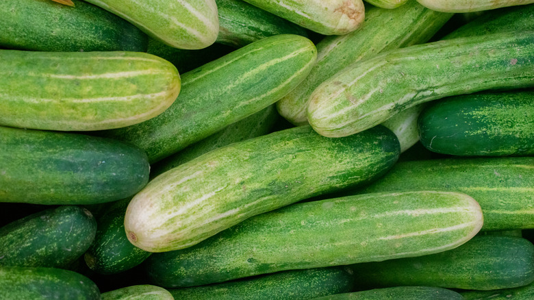 A stack of fresh green cucumbers in a pile.