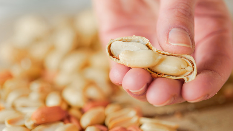 A hand holding a peanut in its shell