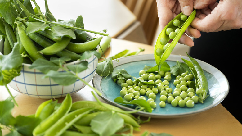 Person removing peas from a pod