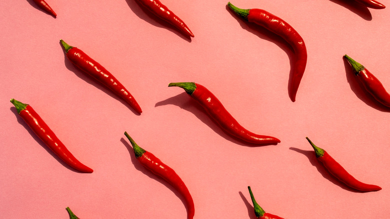 Chile peppers on pink background