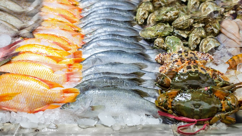types of seafood on ice