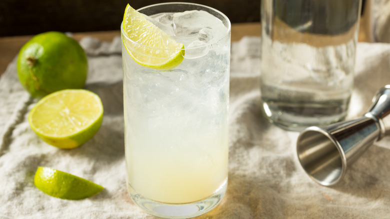 A Gin Rickey in a glass