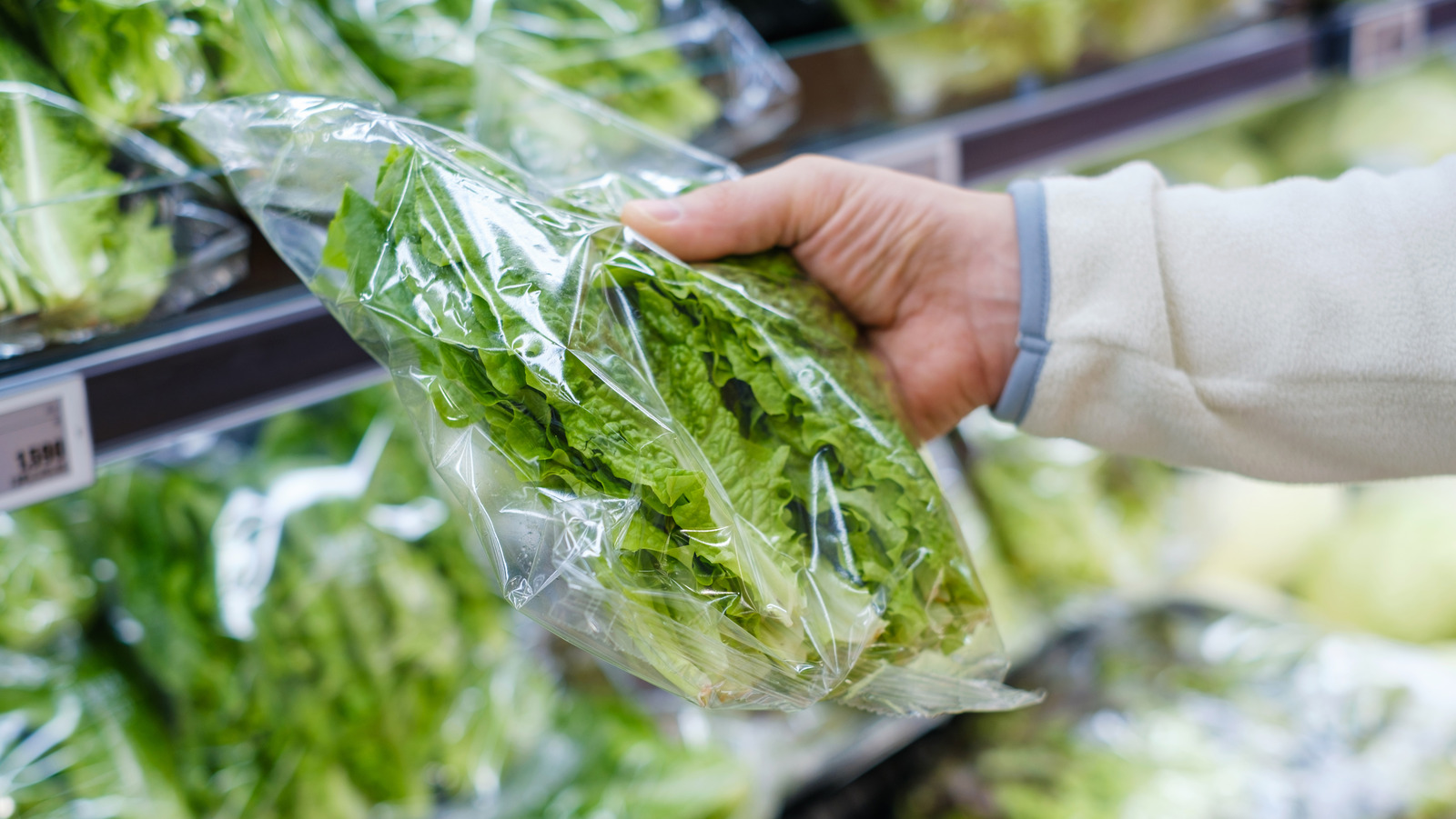 You Should Actually Think Twice Before Washing PreWashed Lettuce