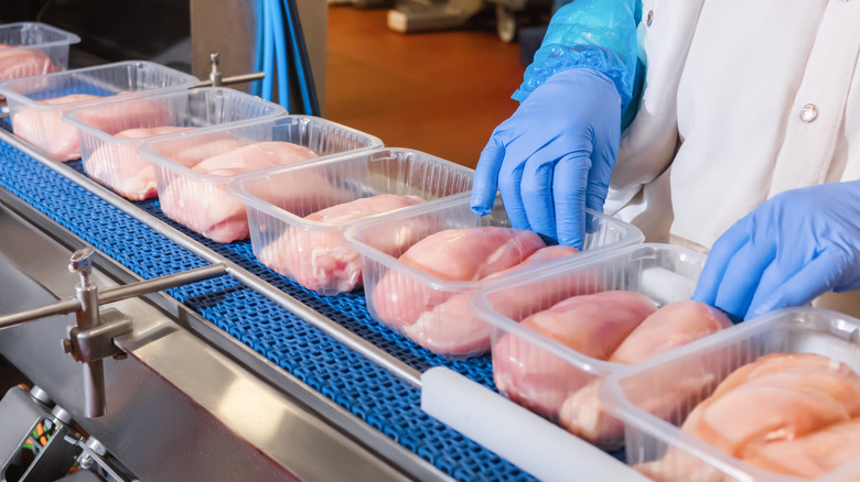 Chicken in a factory