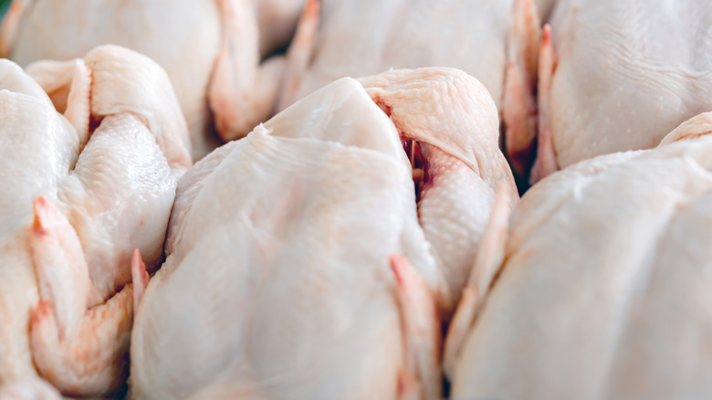 Chicken in a factory