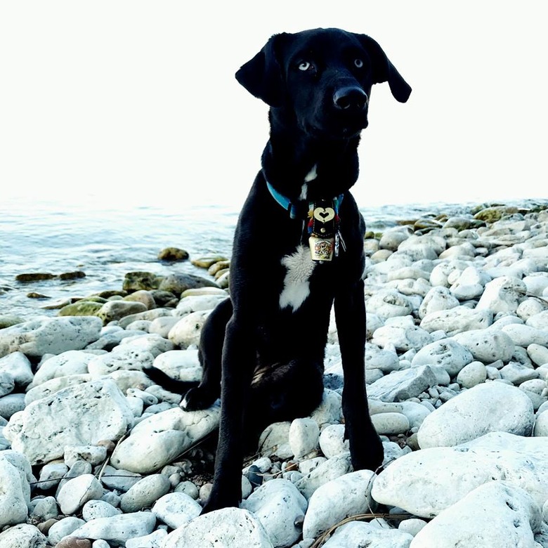 Chicago, Credit: Wendy Altschuler