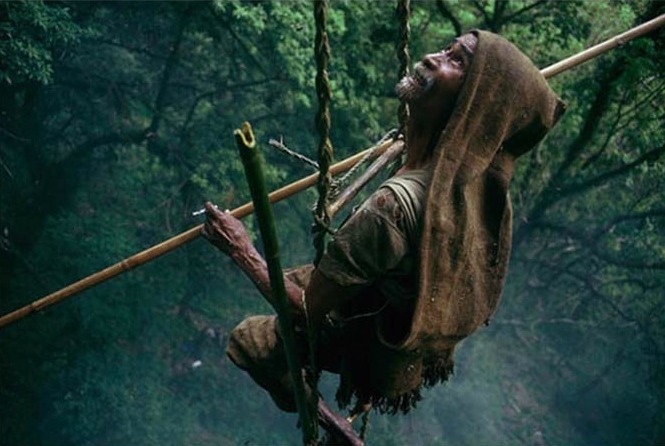Honey Hunting While Hanging From Cliffs, Asia