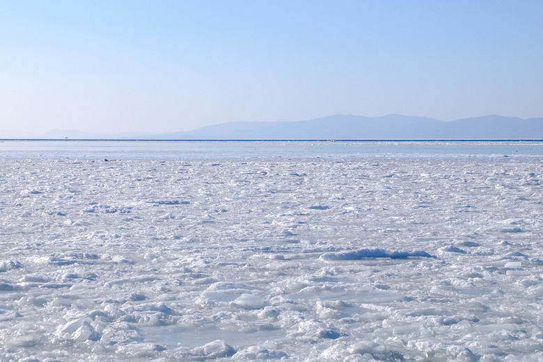 Searching Under Ice for Mollusks, Canada
