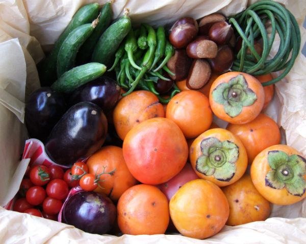 Your Guide to Eating In-Season Autumn Fish and Produce