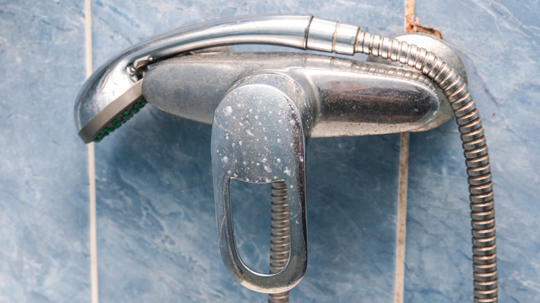 dingy shower controls