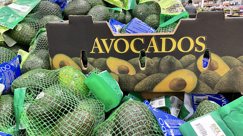 bags upon bags of avocados in the produce section of a Costco